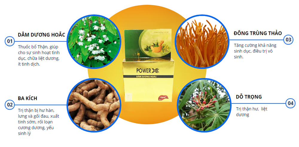 Power X Thực phẩm hỗ trợ sinh lý nam chiết xuất thảo dược (Tuýp 12 viên)