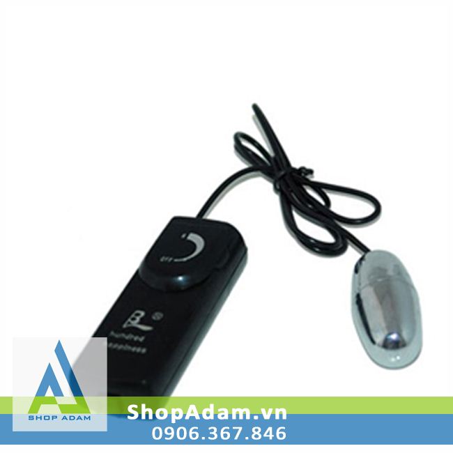 Trứng rung tình yêu Inox 