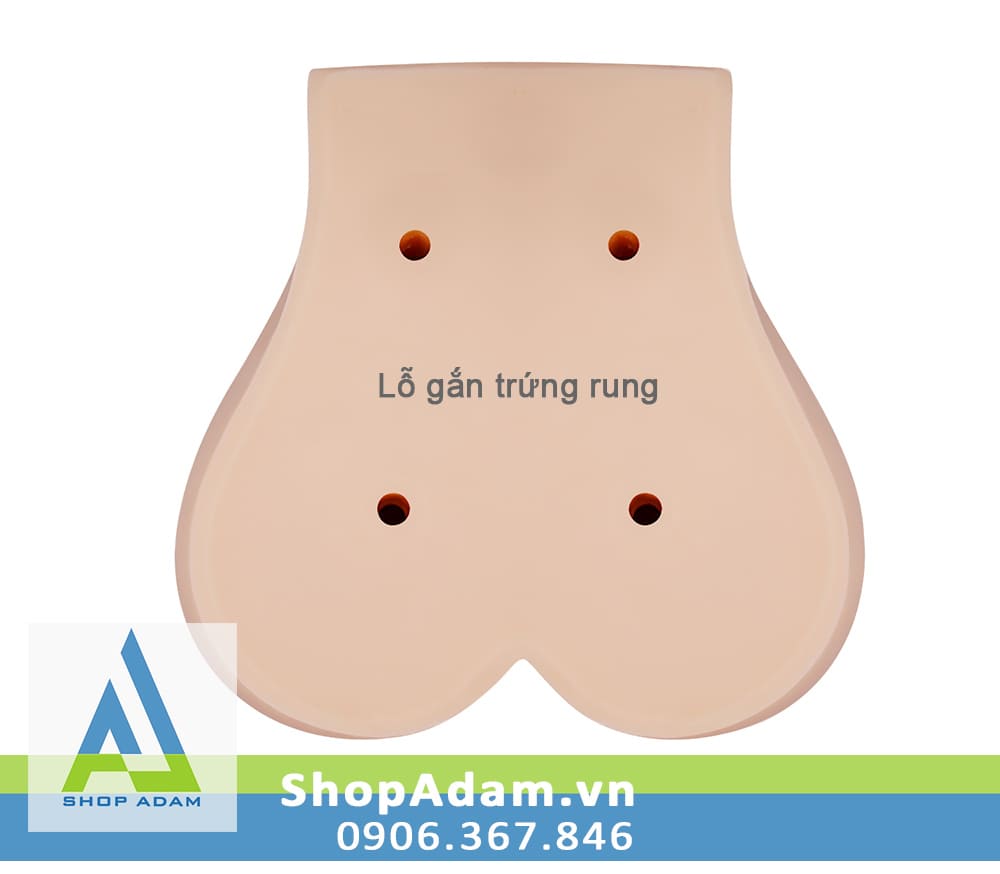 Mông giả Silicone 3D nguyên khối Baile Japanese School Girl